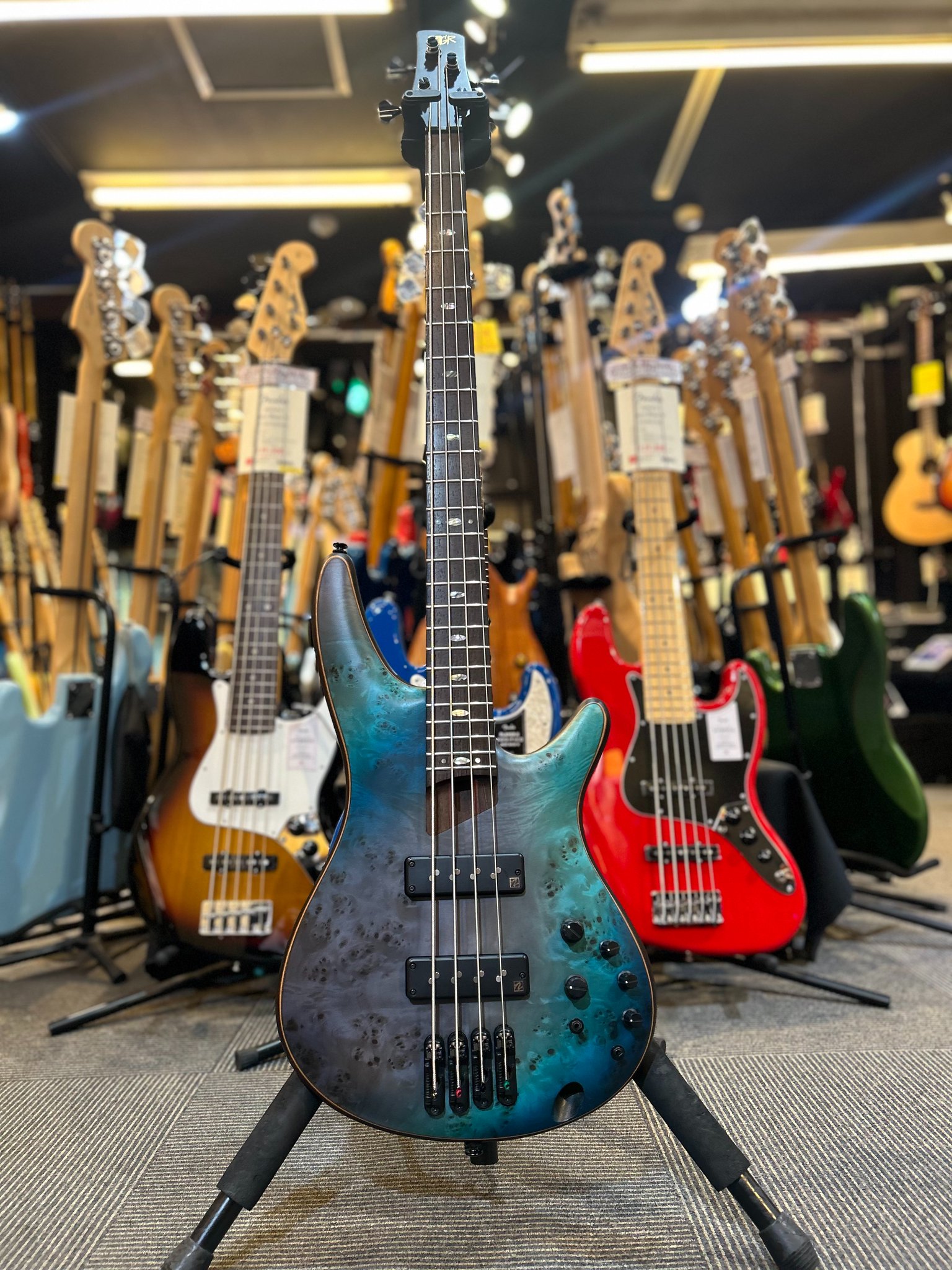 いのりページ Amazon | 【めだかブリーダー推奨】【正規品】小型 スポンジ