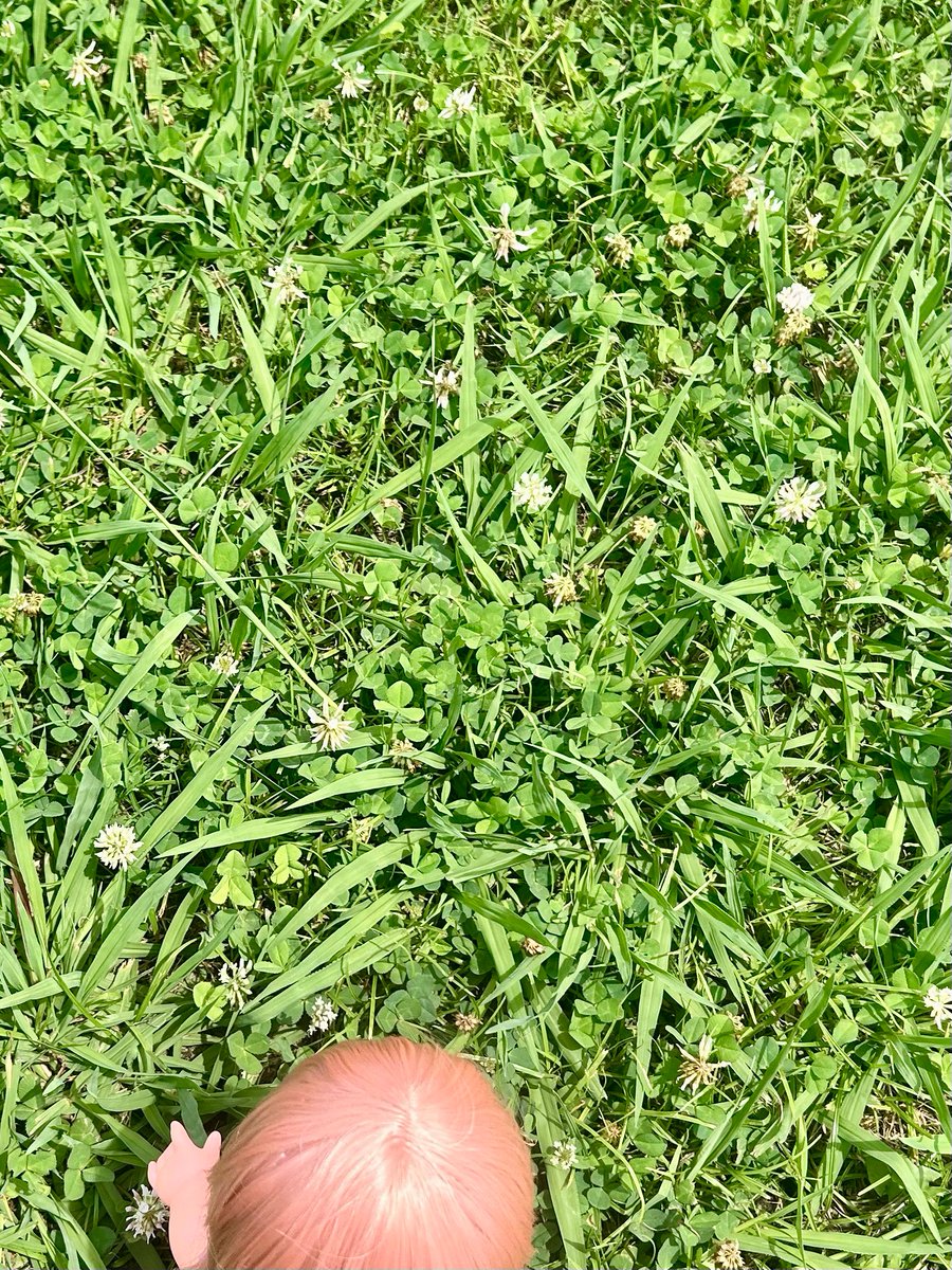 おそとに きたけど あついね🌞
みんな おみず のんでね❣

よつばの クローバー あるかなぁ？