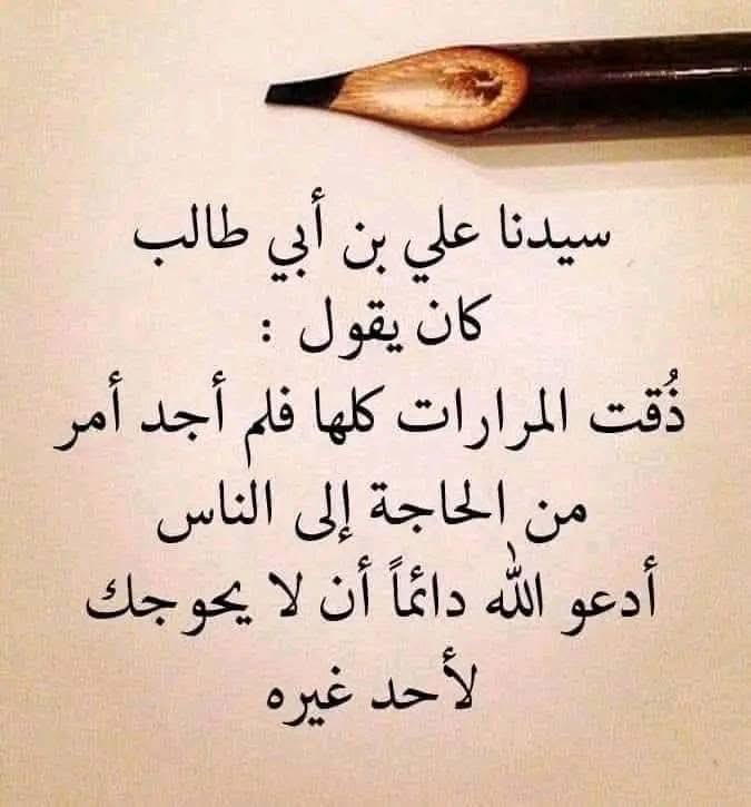 علي الهمداني (@jjwqmf9nqe2g7wy) on Twitter photo 