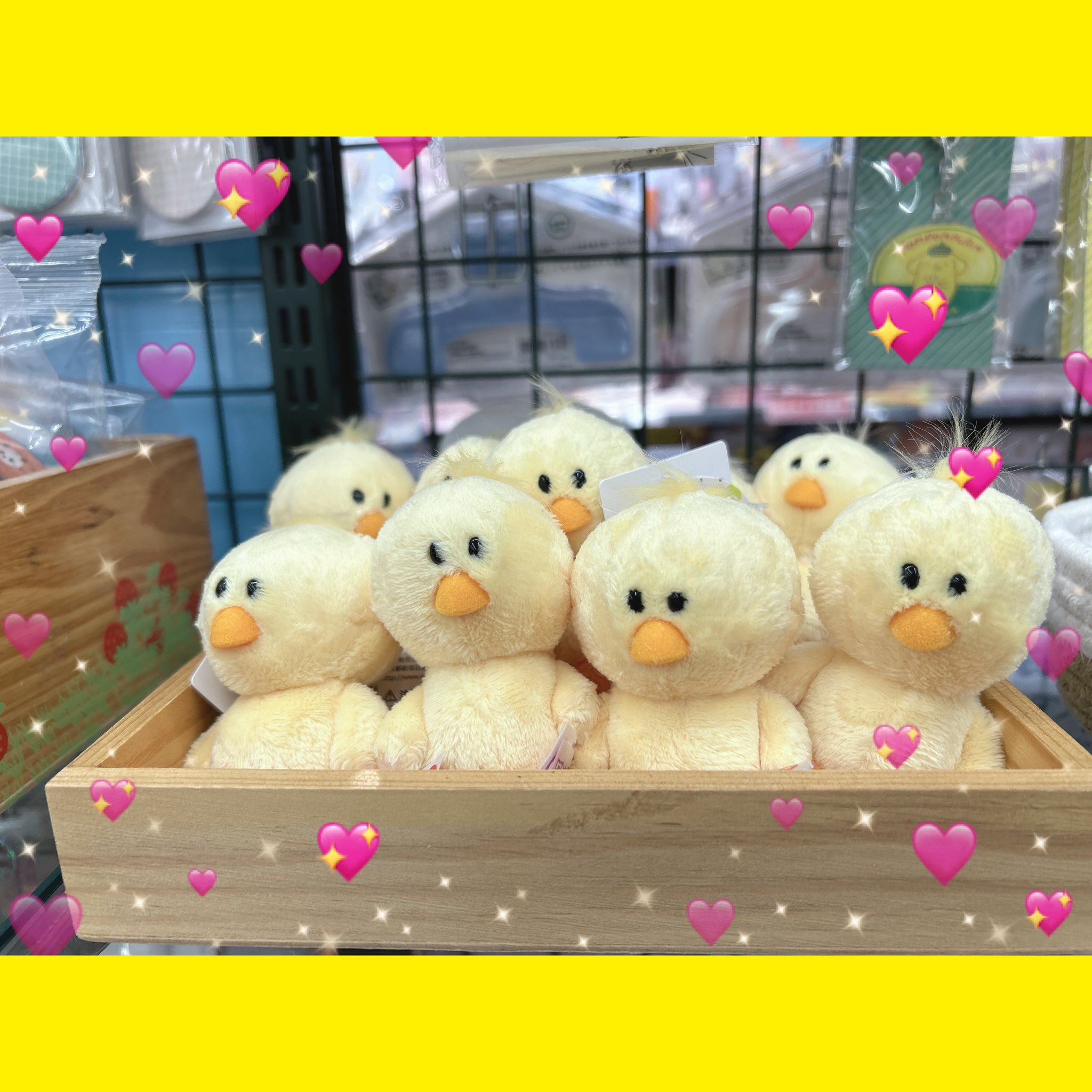 ピヨさん専用 61us1RfQ-wL._UF350,350_QL80_.jpg