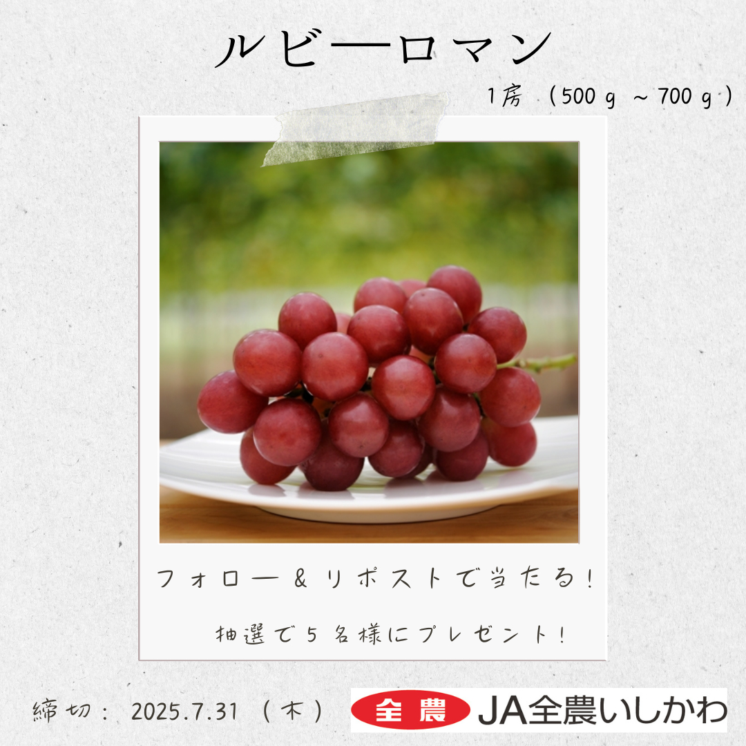 「#ルビーロマン」プレゼント企画🍇

「ルビーロマン」1房が当たるキャンペーンを開催‼️
抽選で５名様にプレゼントします😋

応募方法
1️⃣<a href="/shokuikuzennoh/">全農広報部 食農応援</a>をフォロー
2️⃣この投稿をリポスト
〆切👉2025/7/31

こちらから購入も可能です👉

#全農 #全農いしかわ
