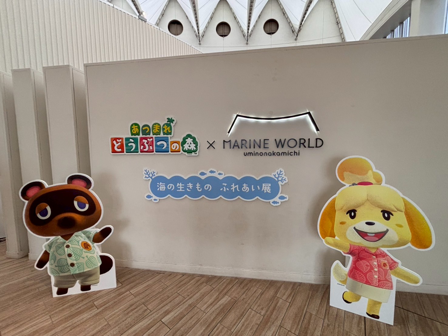 あかりさま　深海生物　入園入学グッズ あかりさま 深海生物 入園入学グッズ