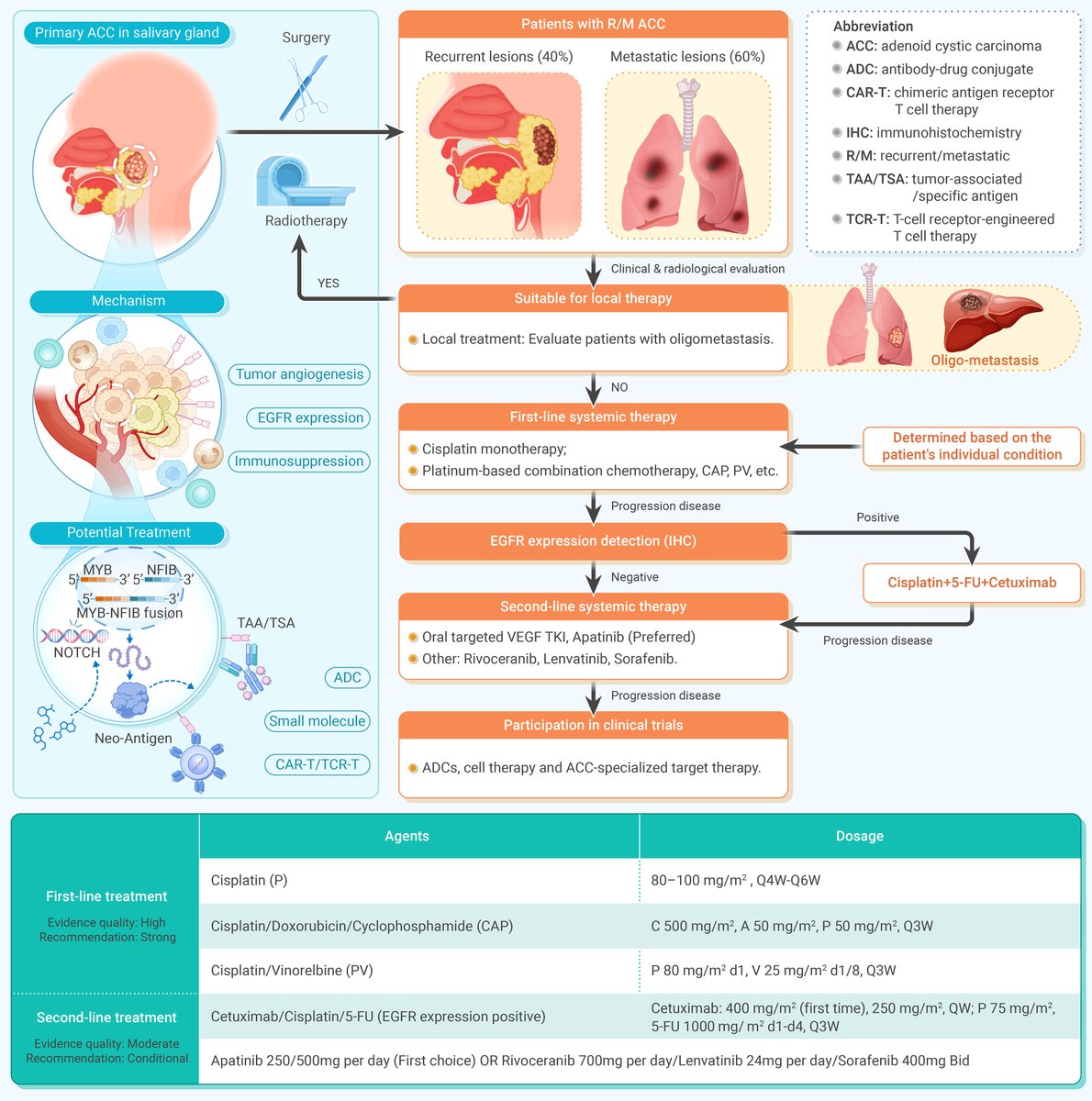 The_InnovationJ's tweet image. New in @The_InnovationJ! Practical guideline for recurrent or metastatic adenoid cystic carcinoma.
This guideline recommends prioritizing multi-targeted small-molecule inhibitors, such as apatinib, or EGFR monoclonal antibodies in combination with platinum-based chemotherapy as…