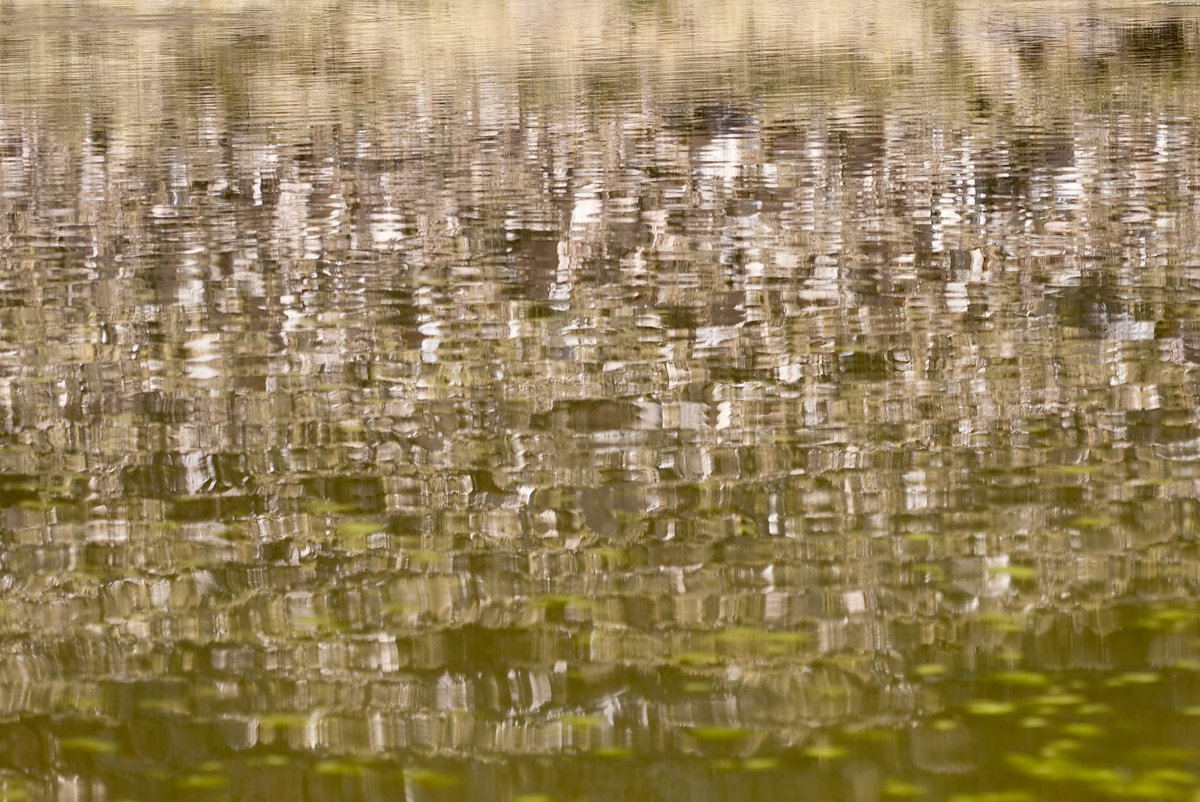 seth's tweet image. A photo of a reflection off a pond, Abra Pampa, Argentina.