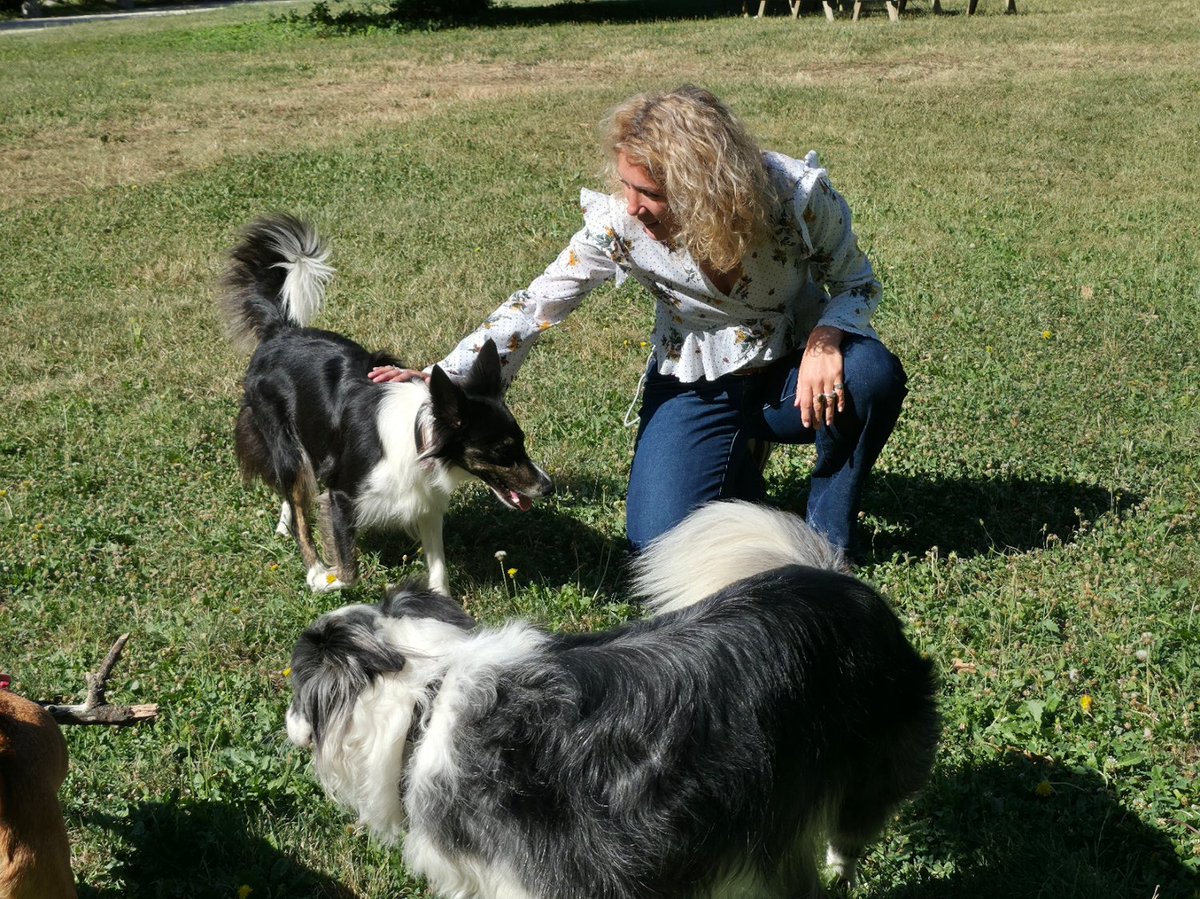 La <a href="/VilledeGrenoble/">Ville de Grenoble</a> a annoncé, mercredi 16 juillet 2025, le lancement d’une expérimentation inédite en France : le déploiement d’espaces de liberté pour les chiens dans huit parcs de la capitale des Alpes.
placegrenet.fr/2025/07/17/gre…