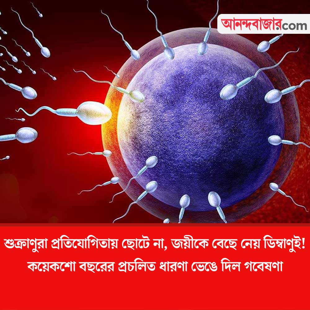 MyAnandaBazar's tweet photo. জন্মরহস্য!
#sciencefacts #spermrace #reproductionsystem #sciencenews
https://t.co/fZ5B5BtGBM https://t.co/0xMFsPcK8C