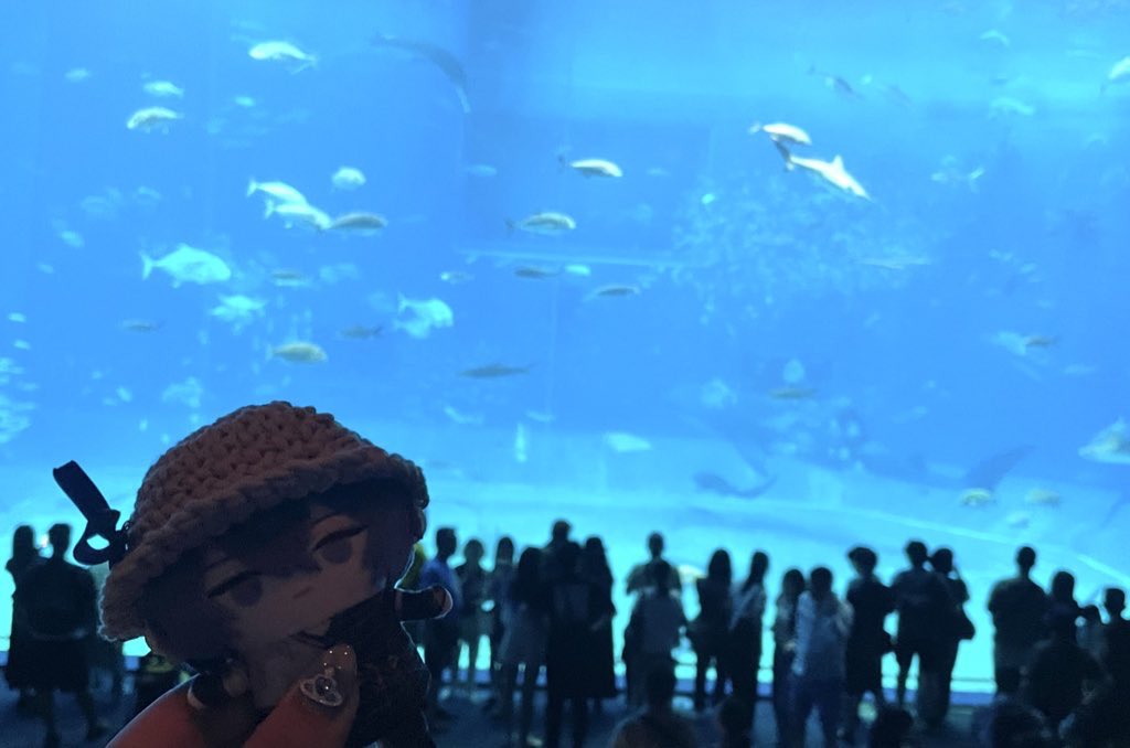 先日ロウぱぺと海や水族館へいました🏖☀️
この夏はぱぺとたくさんお出かけします^&gt;𐋣&lt;^🎶🤍ྀི

 #にじゼンゼロ夏