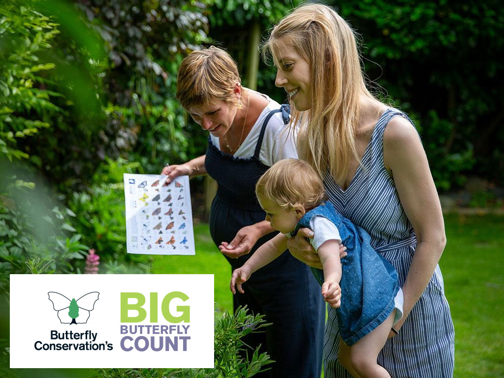 The #BigButterflyCount runs 18 July–10 August. Just 15 mins in any green space can help track vital pollinators across the UK.
At Maydencroft, we support nature through our work—join us in taking part.
🦋 Learn more: …erflycount.butterfly-conservation.org
#ButterflyConservation #Biodiversity