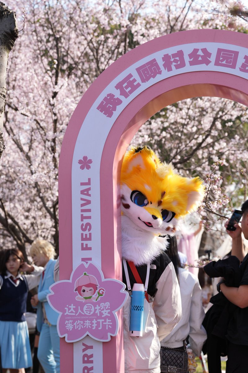 狐抚 tweet media