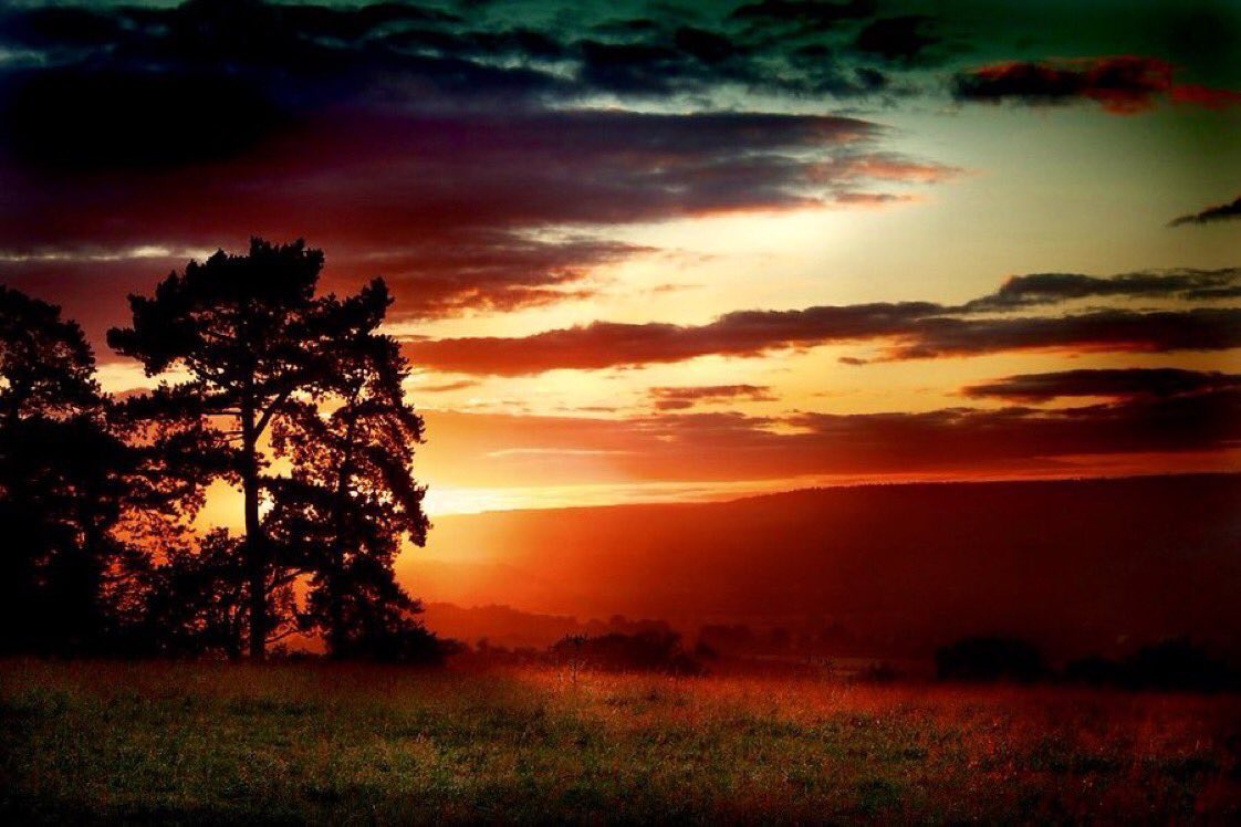 A_AMilne's tweet image. "I found courage in the countryside, in nature. Being alone never frightened me, even at night, provided I was in contact with my surroundings - with the grass underfoot, with the dim shapes of trees and distant mountains. This was what I clung to." ~C.R.Milne #FridayFeeling