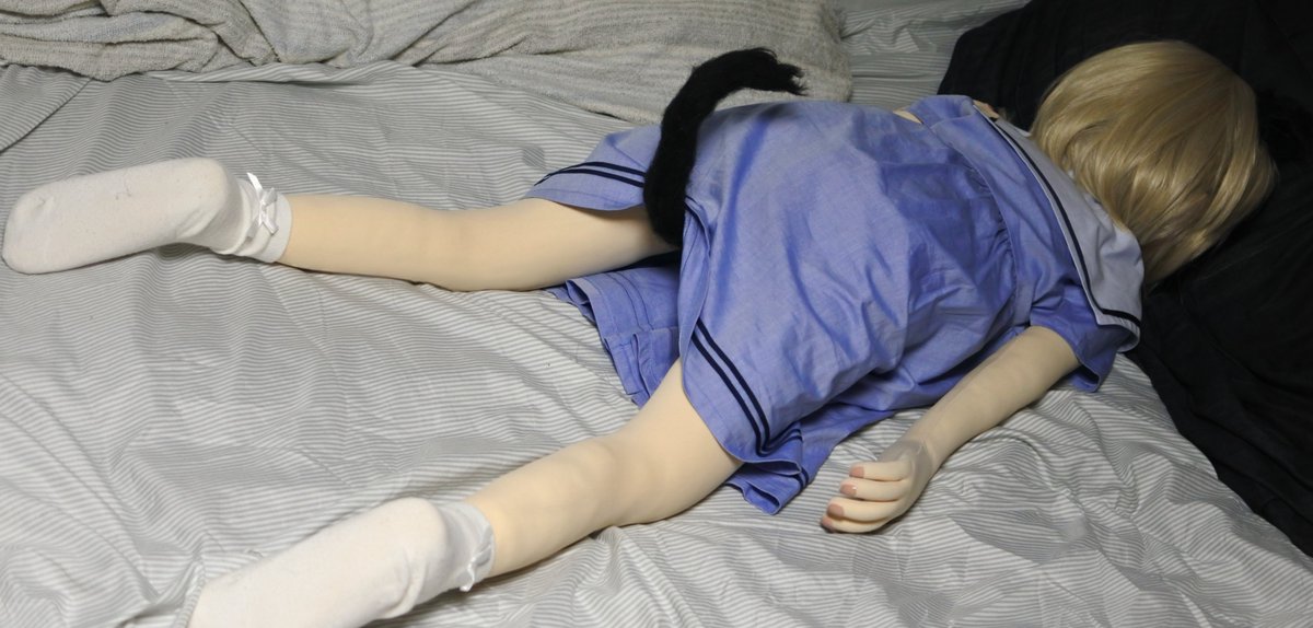 きょうのふぉと日記

あしたから夏休みにゃむにゃ～( ˘ω˘)ｽﾔｧ～

おひるねにゃんこ❣