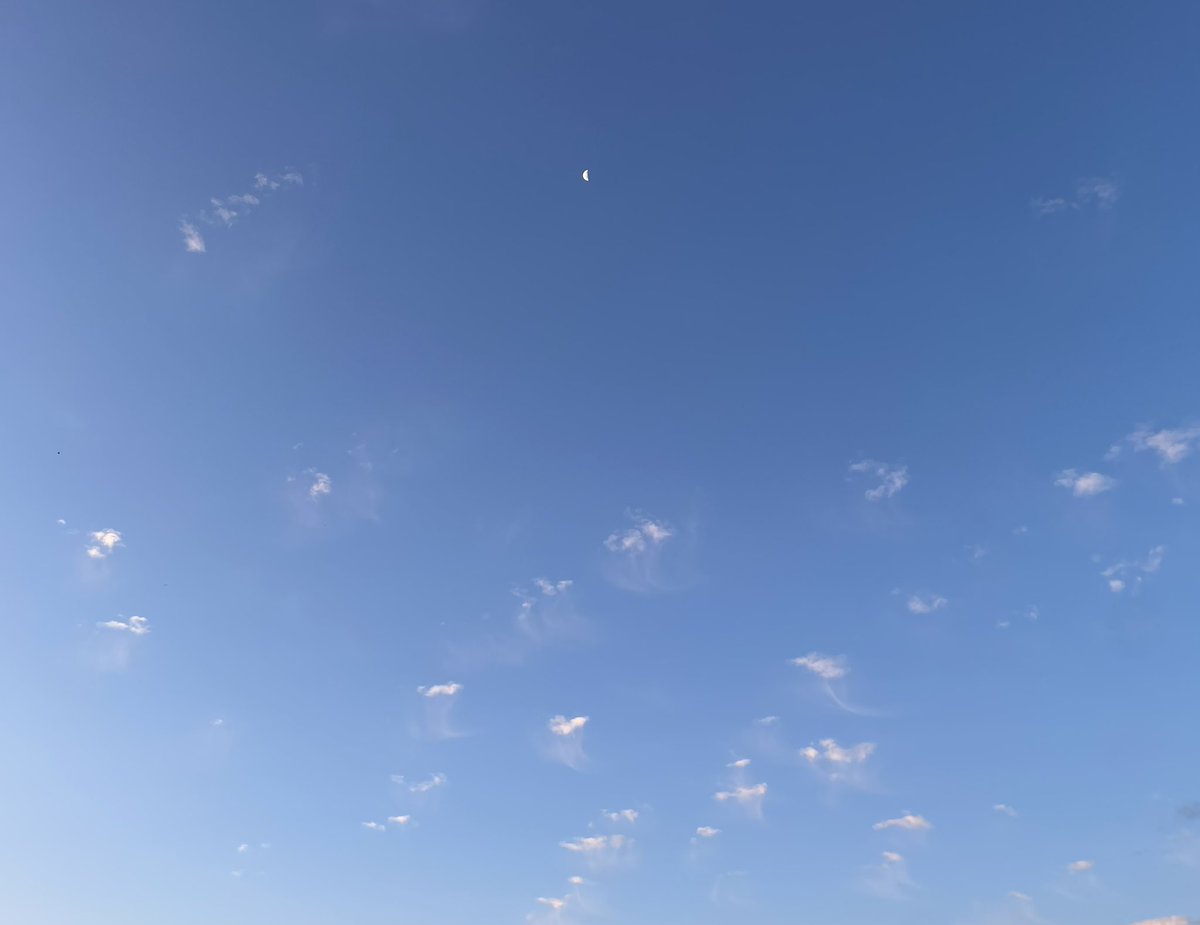 janfygautier's tweet image. 6h35. Un ciel comme un fond marin avec des méduses.