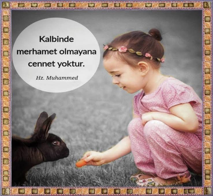 Günaydın, Hayırlı Cumalar...

#sabah #cuma #dua