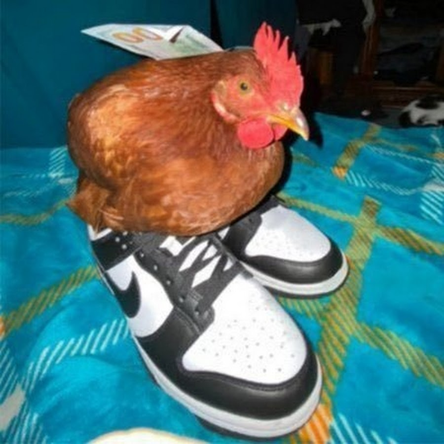 chili pelon tweet media