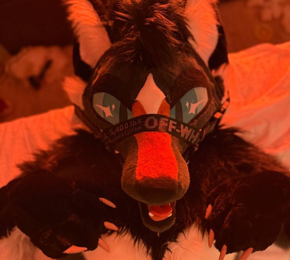 crossthatfox's tweet image. woof (say it back)