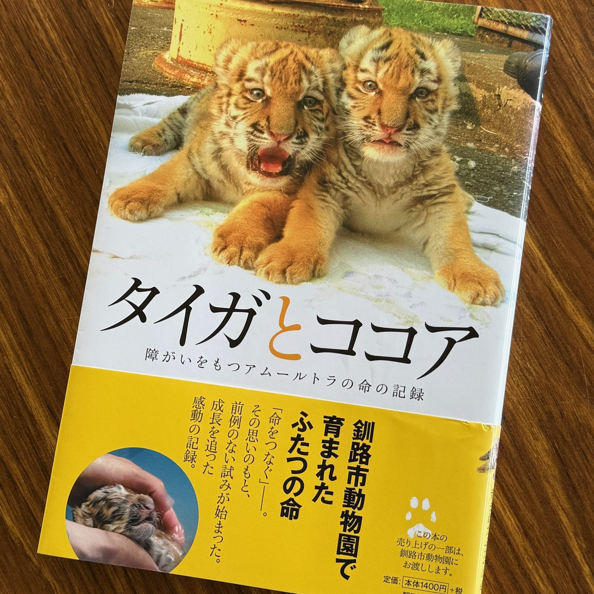 タイガとココア 障がいをもつアムールトラの命の記録　初版　帯付き タイガとココア 障がいをもつアムールトラの命の記録 - メルカリ