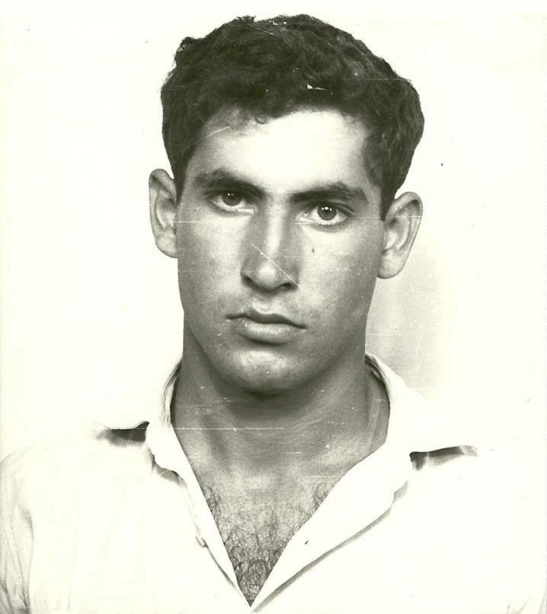 Edvin 🇮🇷 tweet media