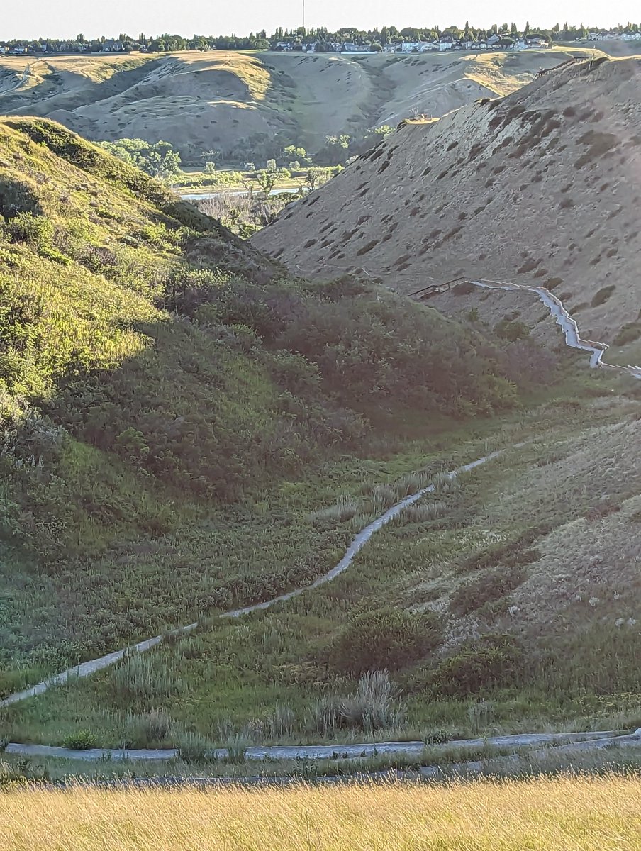 ReemWheat's tweet image. I love how easy in Lethbridge one can soak in nature, if this is your semi daily walk after work , then you are like me: lucky person. It is beautiful here!