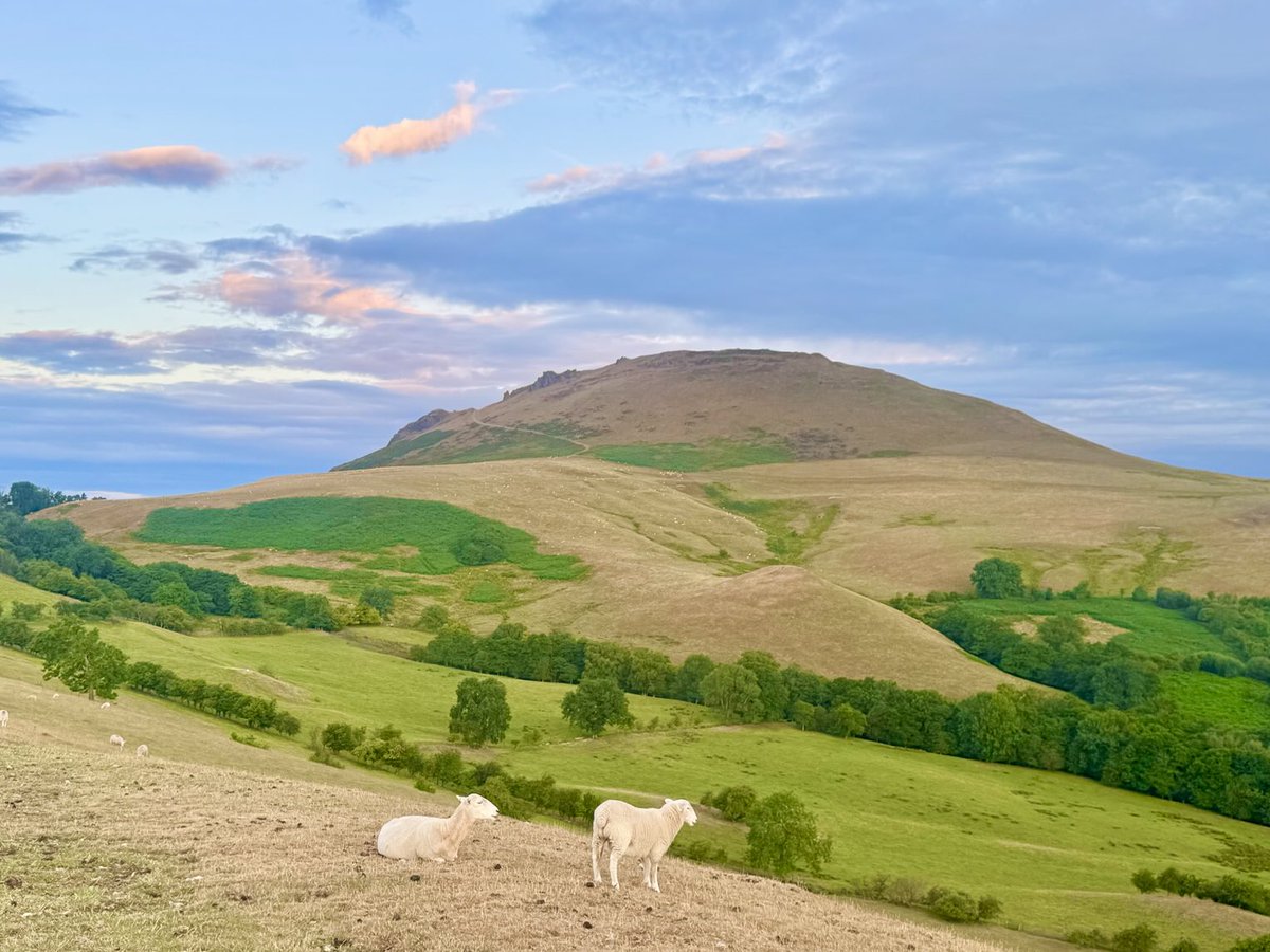 Aneedtopaint's tweet image. A fine cool start to Friday. ☀️ #Shropshire