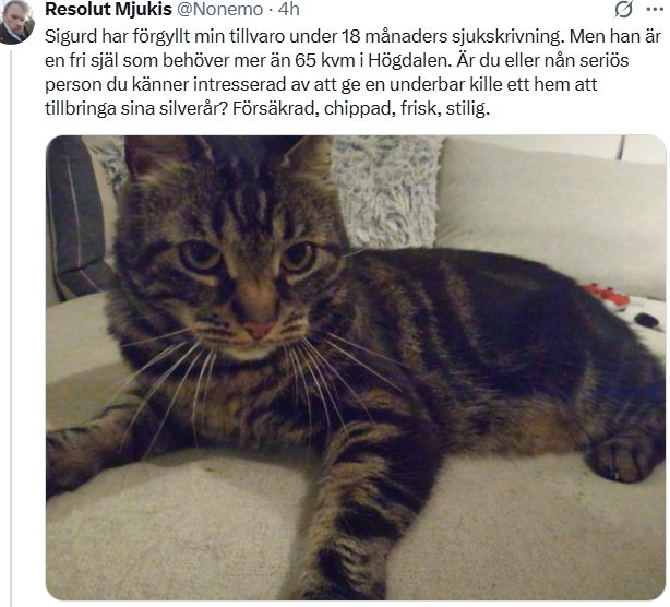 vansterkollen's tweet image. Mattias Irving, känd vänsterextremist, är redaktionschef för vänstertidningen Dagens Seglora, marknadsför sig som "journalist med fokus på högerextremism" har arbetat för att Socialdemokraterna ska samarbeta med islamistiska organisationer som Nyans skaffade katt för att hålla…