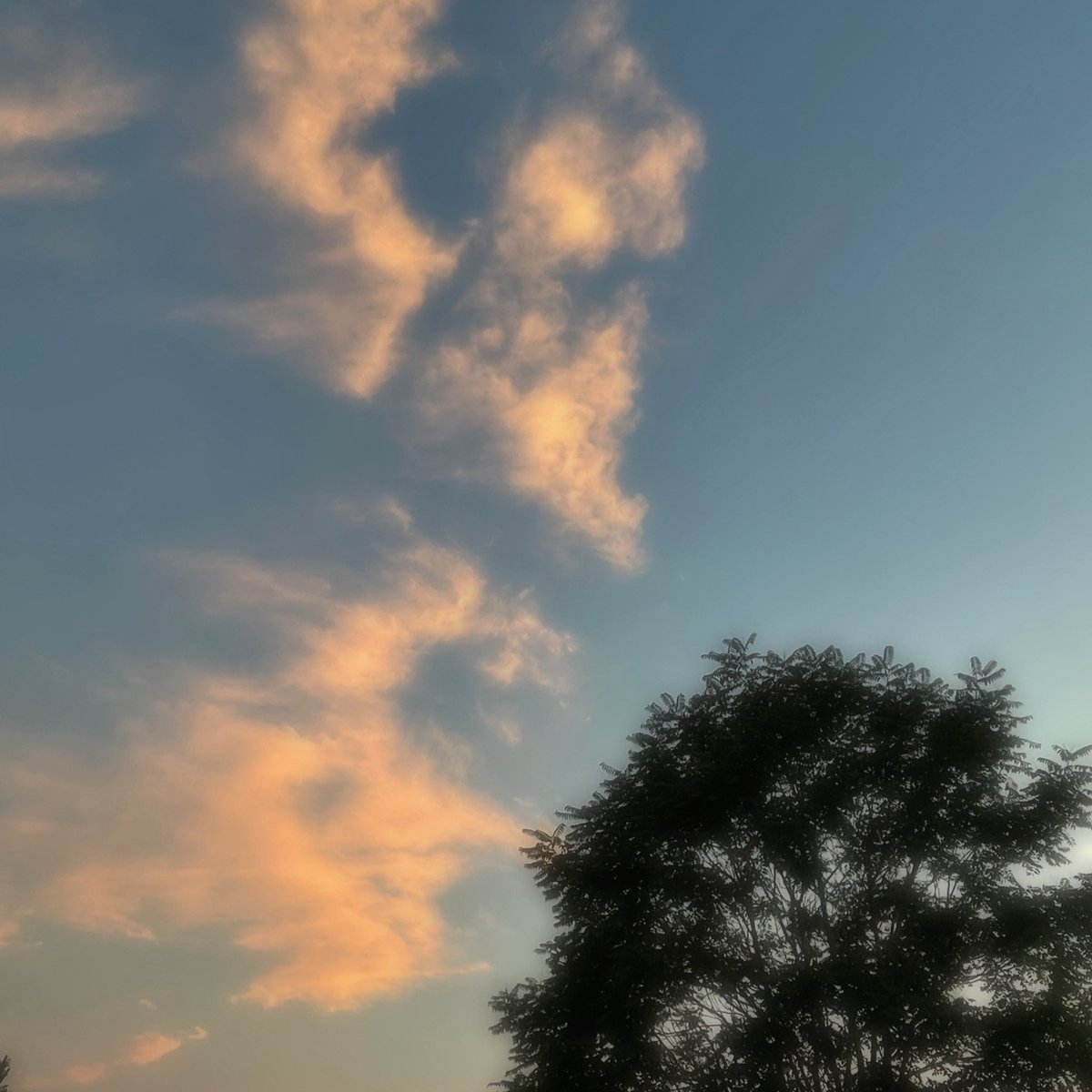 geturwishes's tweet image. 