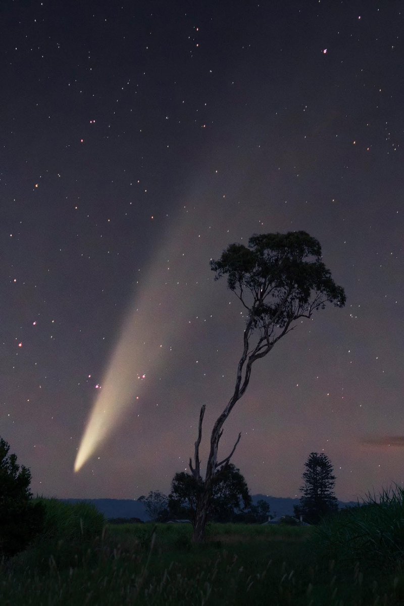 vivstoitsis's tweet image. Comet G3 ATLAS.
Captured this one back in late January just as the nucleus of the comet was beginning to disintegrate.
Clarence Valley, NSW, Australia
Credit Mitchell Forrester
