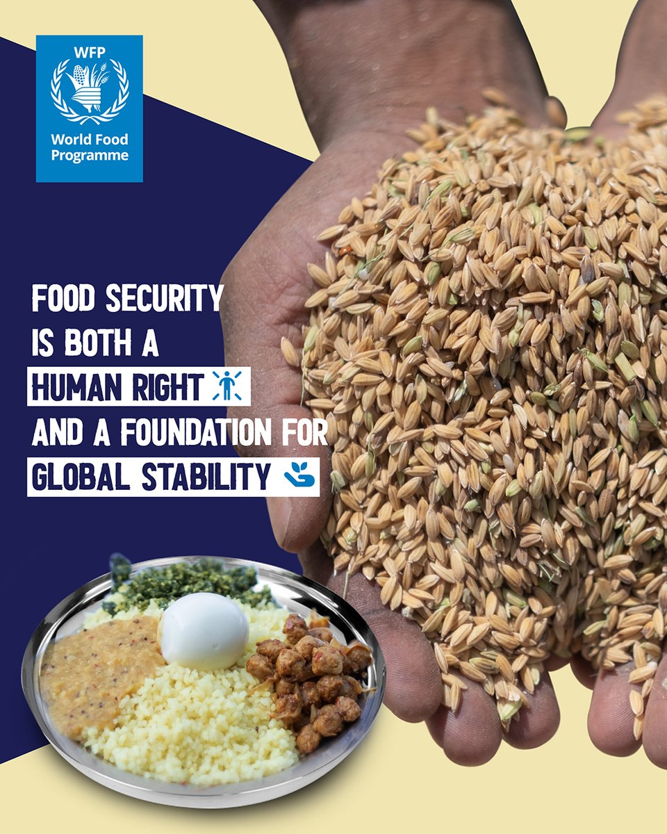 WFP improves #foodsecurity in a variety of ways, working with governments, UN agencies, local NGOs &amp; partners. 
In 🇱🇰, WFP boosts food access &amp; availability by providing targeted assistance, especially for farmers and school meal providers.