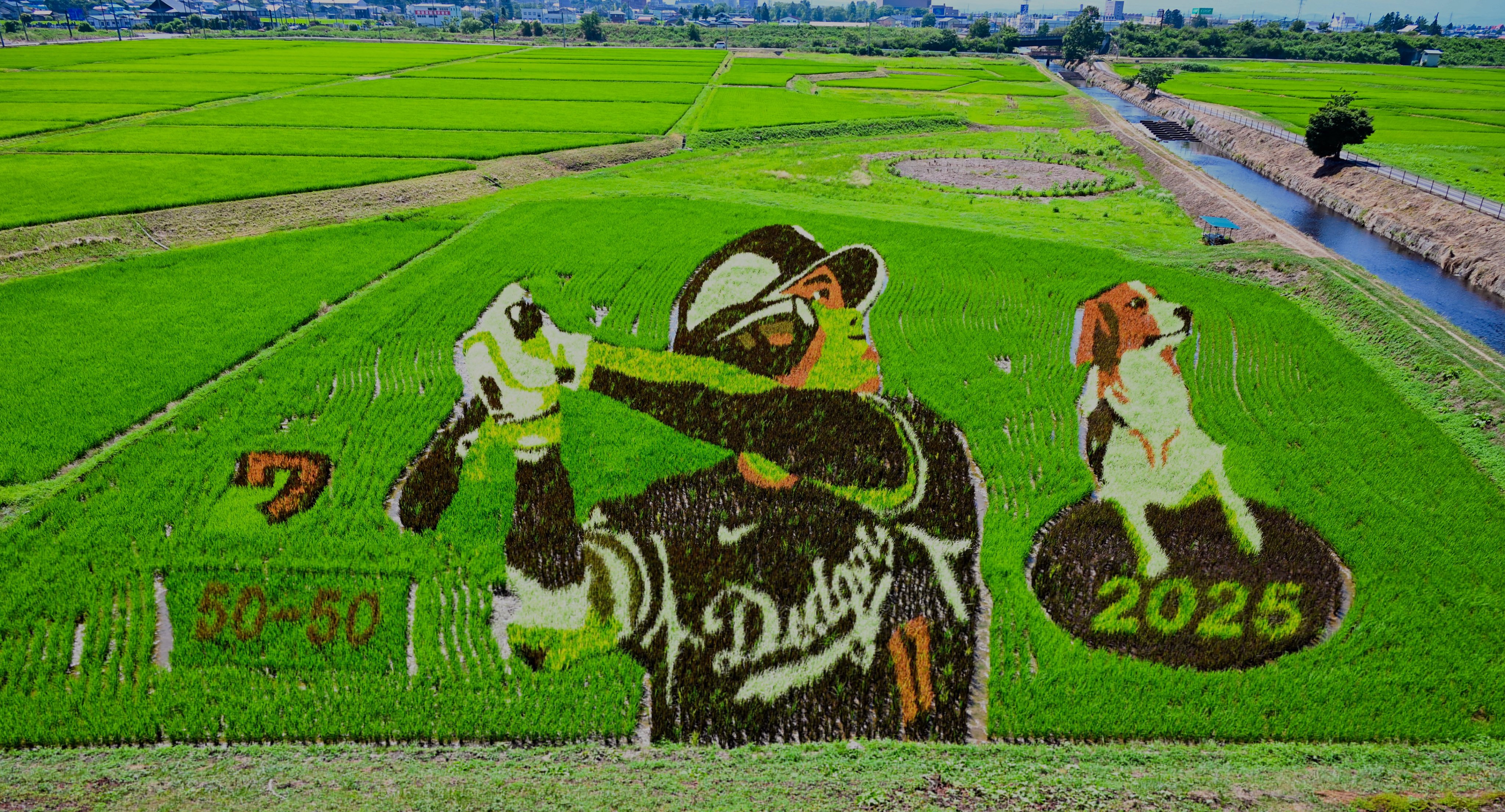 Japan ⚔ Baseball on X: 