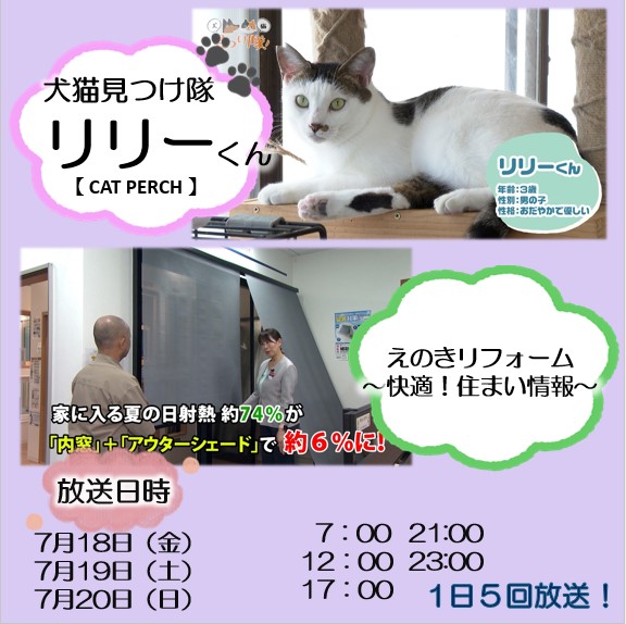 今日の情報ナビでは、
◆まちのアーティストのコーナー戸越正治作品展
◆宮崎第一信用金庫　Jリーグチケット贈呈
◆犬・猫見つけ隊！　今週は都城
◆えのきリフォーム　【プロモーション】

— 放送日時 —
📅 7/18(金)　7/19(土)　7/20(日)
⏰ 7：00～　12：00～
　 17：00～　21：00～　23：00～
