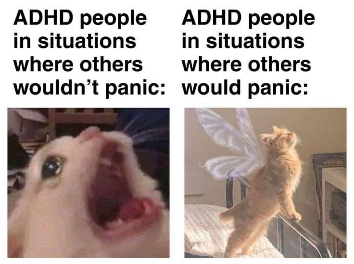 ADHD Memes (@adhdforreal) on Twitter photo 