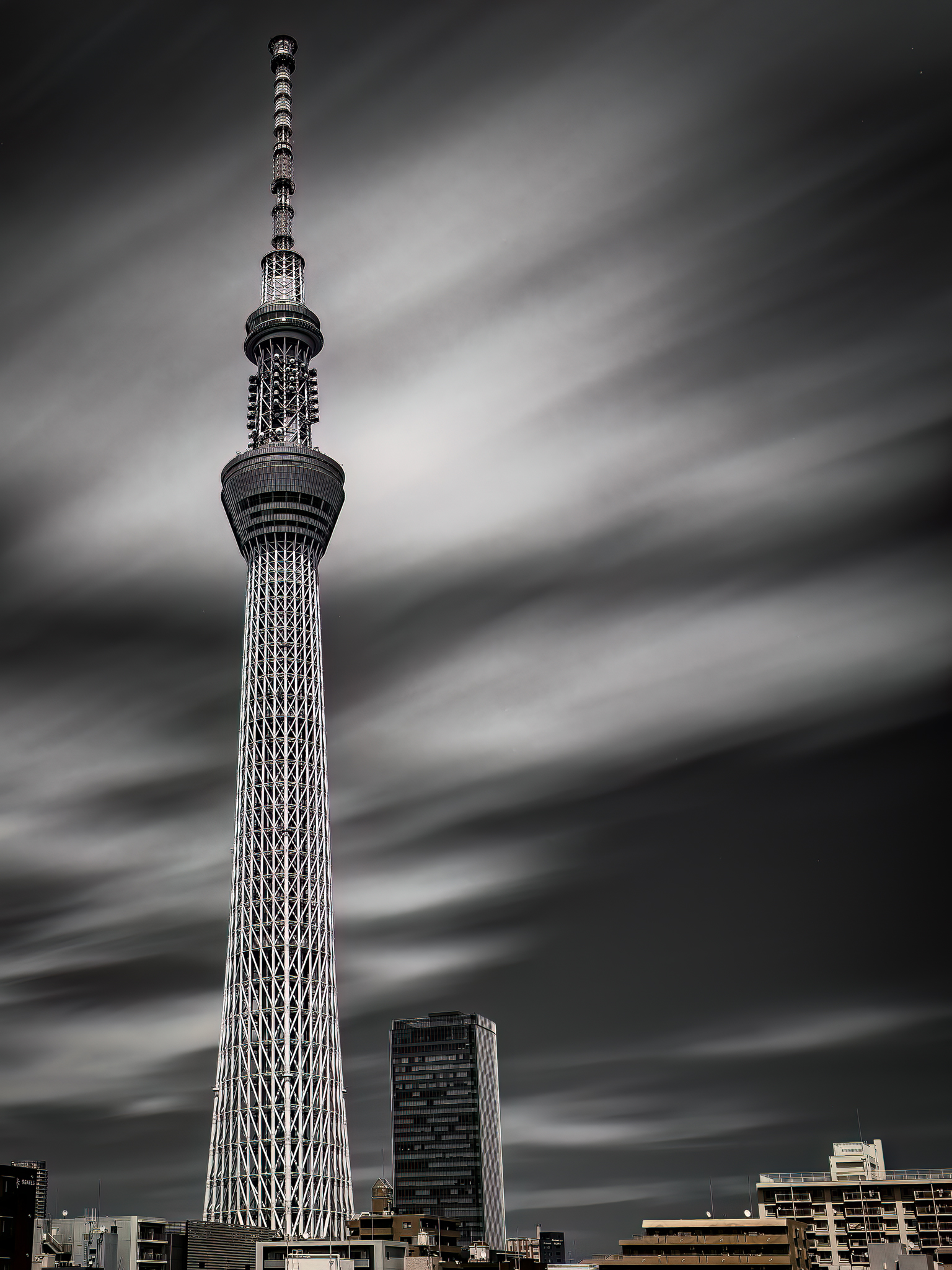 風景 友達と過ごす贅沢な時間..🌙🗼✩⋆*॰¨̮⋆｡˚ 船に乗って風