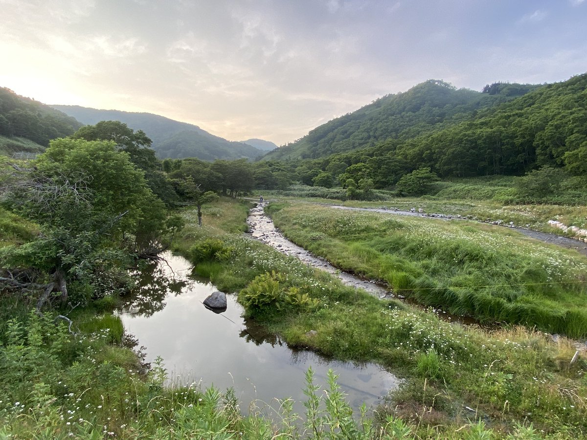 rusafieldhouse's tweet image. 夏らしい暑さと夕暮れの昨日、そしてたった今は夕立ちのような雨。一日で目まぐるしく変わるお天気の羅臼です。明日から夏休みのお子さんもたくさんいらっしゃるはず。お越しをお待ちしております。