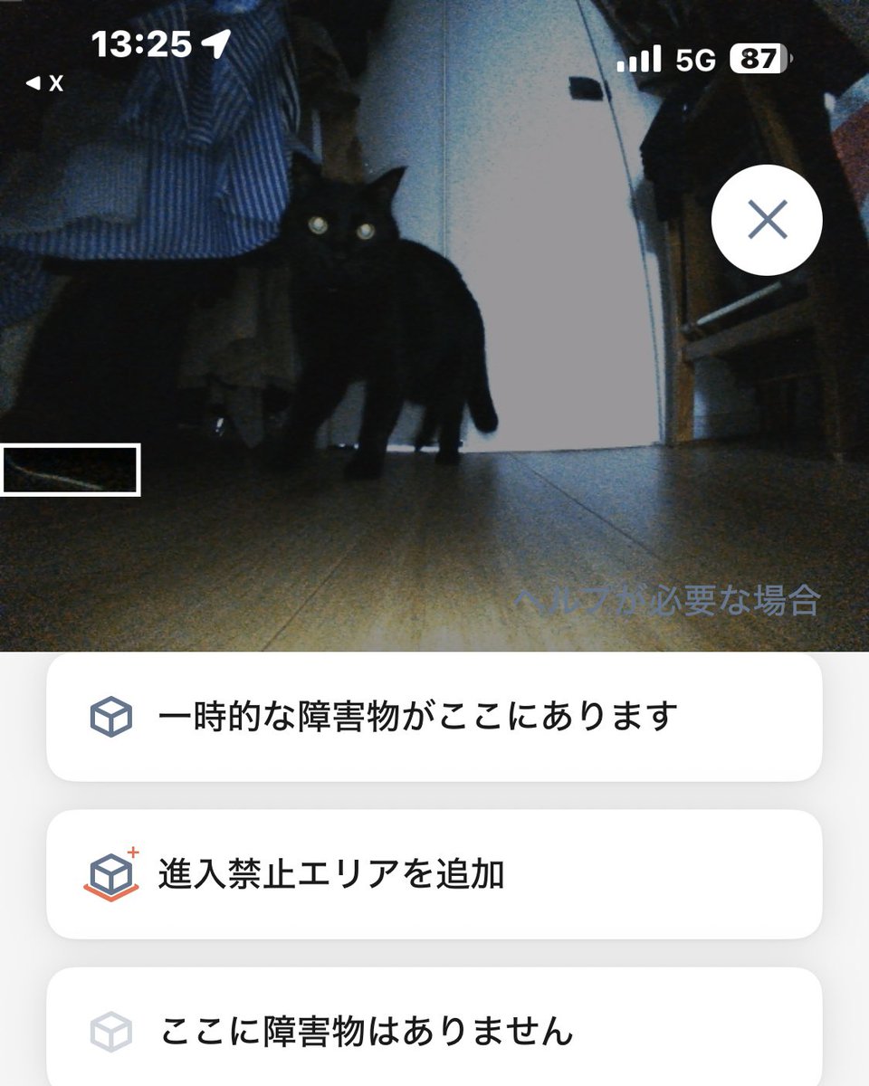 安くしました！v(・∀・*)ルンバです！！ このピース絶対はまらなそうで完璧にハマるパズル