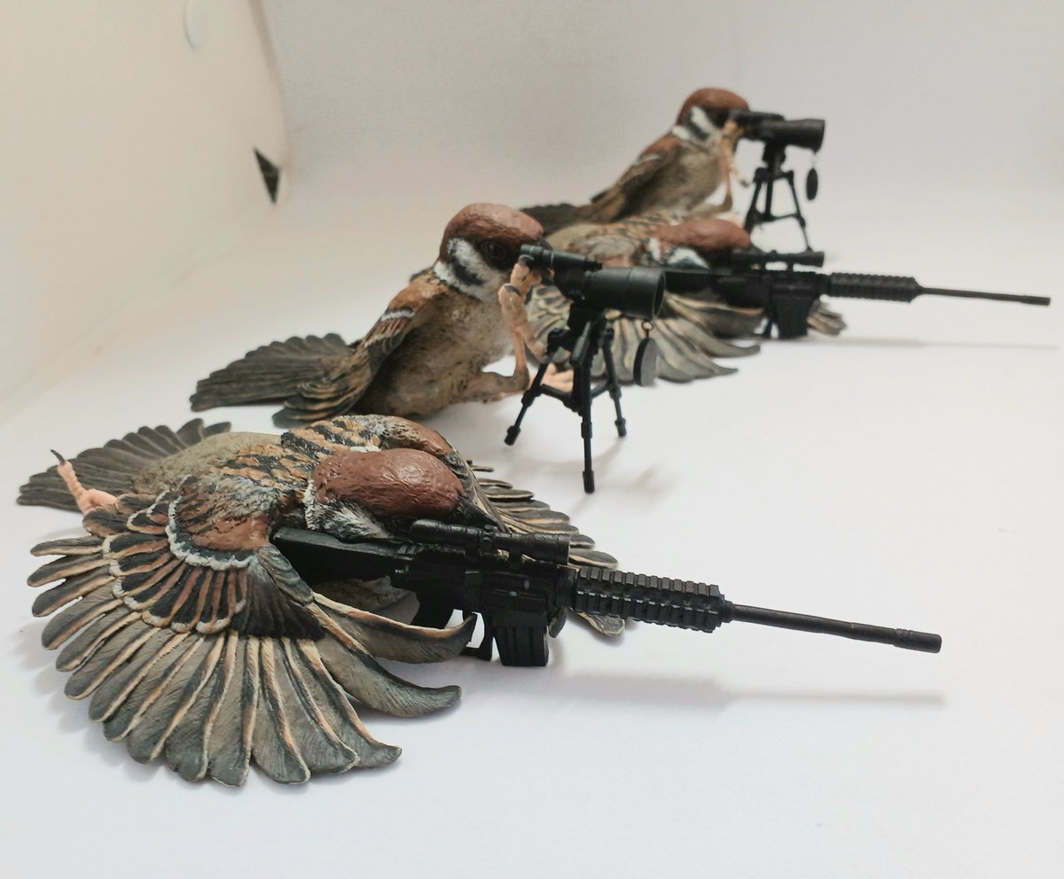 いつものスズメたち、４羽づつおります
#博物ふぇす
#博物ふぇす鳥部