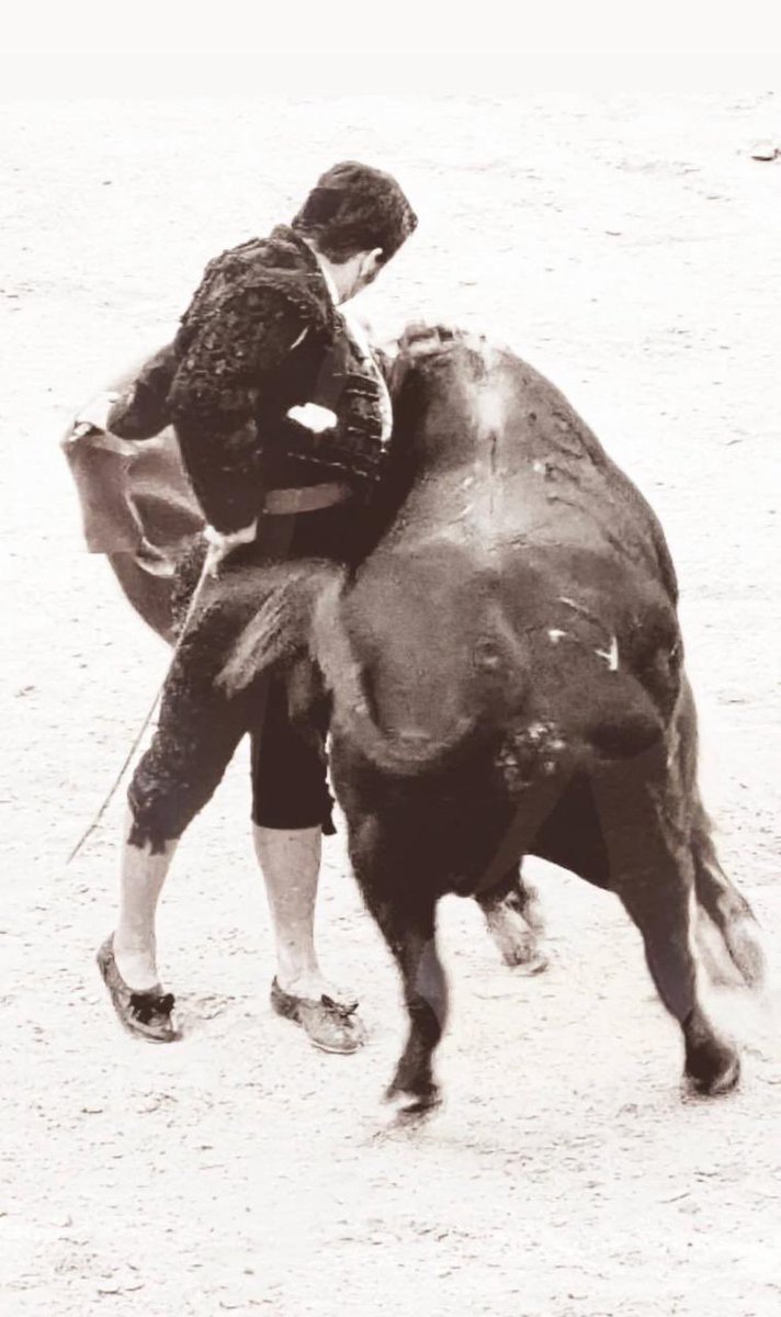 Cara y cruz