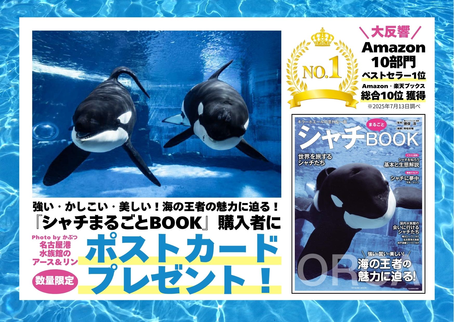 名古屋港水族館　グッズ　シャチ イルカ ファイル ぬいぐるみ　ポストカード 名古屋港水族館 グッズ シャチ イルカ ファイル ぬいぐるみ