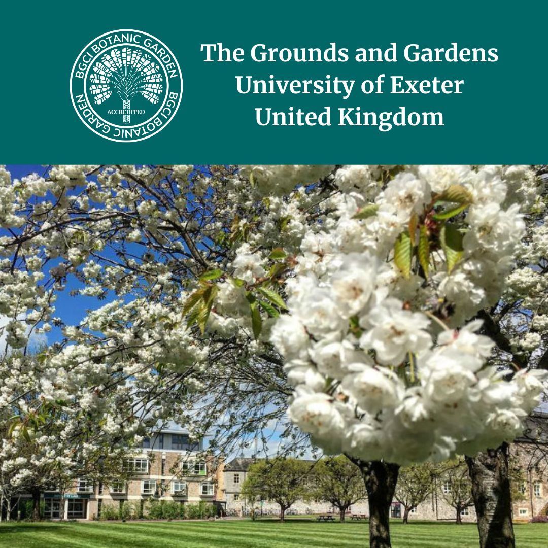 bgci's tweet image. 🎉 Congratulations to Grounds and Garden University of Exeter on their Botanic Garden Accreditation! 🌸 
buff.ly/SfhVrTq  

#BotanicGardenAccreditation #PlantConservation