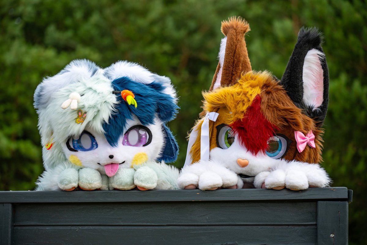 Don’t mind us, we’re just spyin’ on ya!

With <a href="/dazeinspace/">Daze / 데이즈 ✨</a> 🩵
📸: <a href="/Slibiniukas/">Dragoniel</a> 
#FursuitFriday #furry #kemono