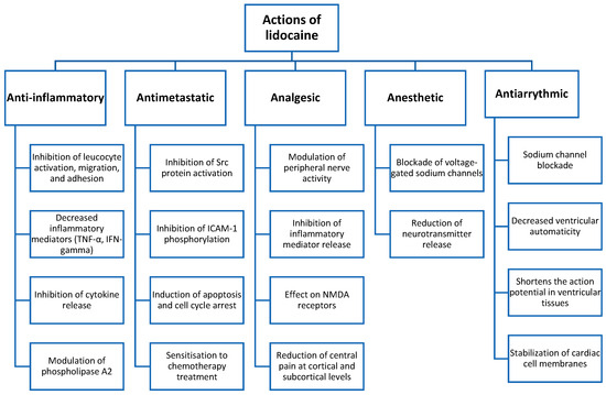 JCM_MDPI's tweet photo. #mdpijcm
#OpenAccess 🔓
📢 Happy to share the new #NarrativeReview paper 
Anti-Inflammatory and Immunomodulatory Effects of #Intravenous_Lidocaine in Surgery
@UNIRuniversidahttps://mdpi.com/3338754
by Ana Fernández-Martínez et al. @anaf93 
@MediPharma_MDPI  @UNIRuniversidad https://t.co/QNqYnaIf4i