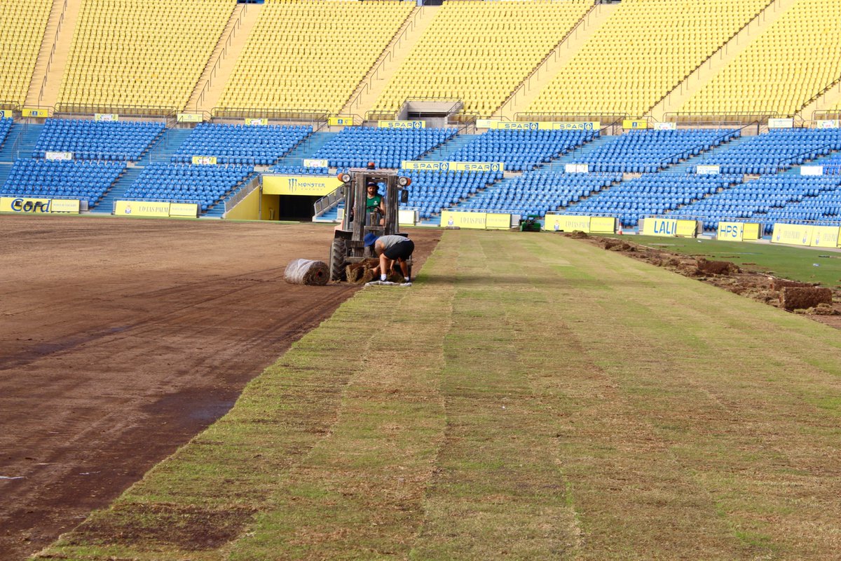 Gran Canaria Deportes (@grancanariadep) on Twitter photo Iniciamos la instalación del nuevo césped natural, cultivado en Fuerteventura, para preparar el terreno de juego de cara a <a href="/LaLiga2/">LALIGA HYPERMOTION</a>.
La intervención, con una inversión de 250.000 euros, se lleva a cabo utilizando tepes de la variedad Bermuda Ibiza.
grancanariadeportes.com/modules.php?mo… Iniciamos la instalación del nuevo césped natural, cultivado en Fuerteventura, para preparar el terreno de juego de cara a <a href="/LaLiga2/">LALIGA HYPERMOTION</a>.
La intervención, con una inversión de 250.000 euros, se lleva a cabo utilizando tepes de la variedad Bermuda Ibiza.
grancanariadeportes.com/modules.php?mo…