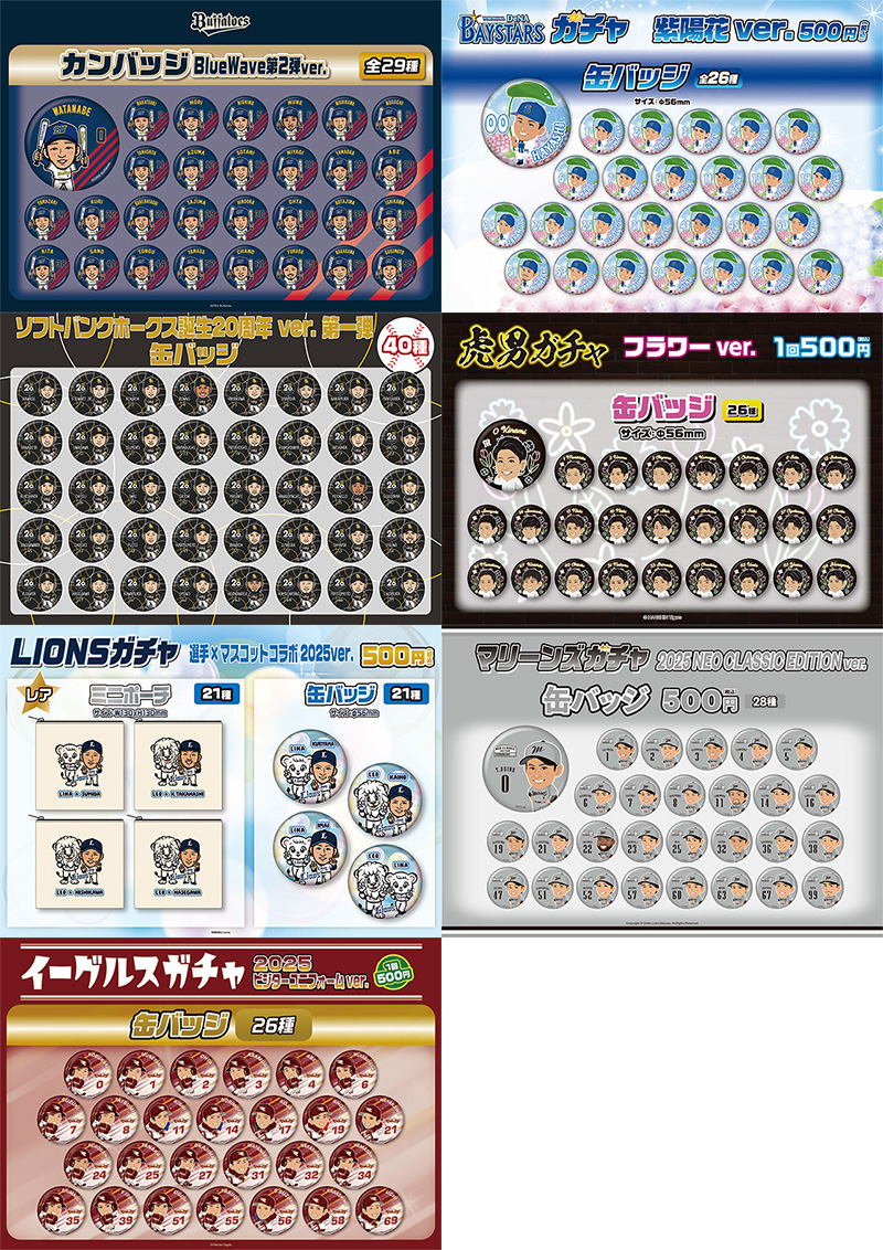 【激レア】マイナビオールスターゲーム2025公式球 実使用球 京セラ 激レア】マイナビオールスターゲーム2025公式球 実使用球 京セラ