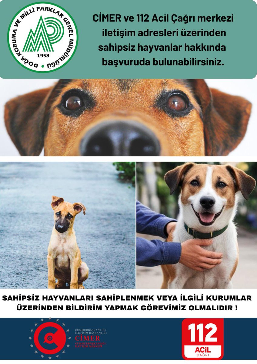 🚨#SONDAKİKA | DUYURU

Başıboş köpeklerin toplanmasına yönelik talepleriniz için 1️⃣1️⃣2️⃣ çağrı merkezini arayabilirsiniz.

Derneğimizin girişimleri neticesinde; geçtiğimiz haftalarda İçişleri Bakanlığı tarafından valiliklere resmi bir yazı yazıldığını, başıboş köpek ihbarları için