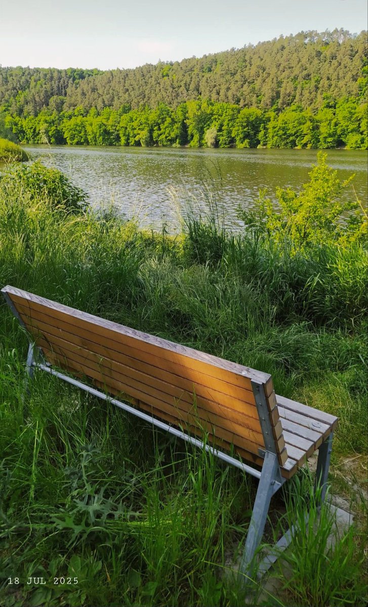codice_nature's tweet image. Buongiorno 🌞🌈☕ ed ecco il famoso venerdì 🥰. Le teste e le voglie sono già indirizzate nei luoghi preferiti 😅. Giusto che sia così... La vita sta diventando un lungo stress senza avere un po' di pace... che farebbe soltanto bene a mente e corpo 😉