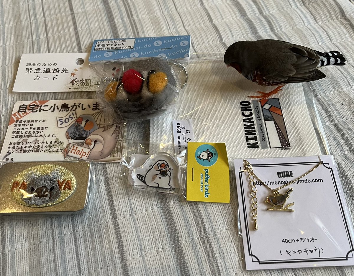 #とりづくし
行ってまいりました。人の多さにびっくりでした‼️(入場制限かかってた)
錦華鳥のみ厳選してまいりました。どれもかわいい🥰
慎重派落雁がすぐに見にくるほどの可愛さです