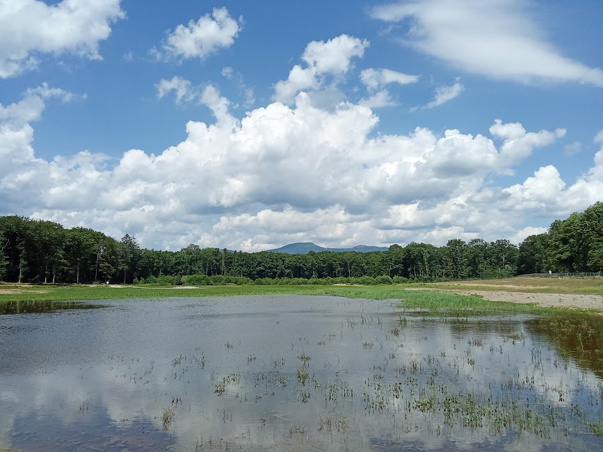 Bonjour d'Alsace 😊

Bon vendredi à tous 🌿🌻🌿
Lac de la Seigneurie