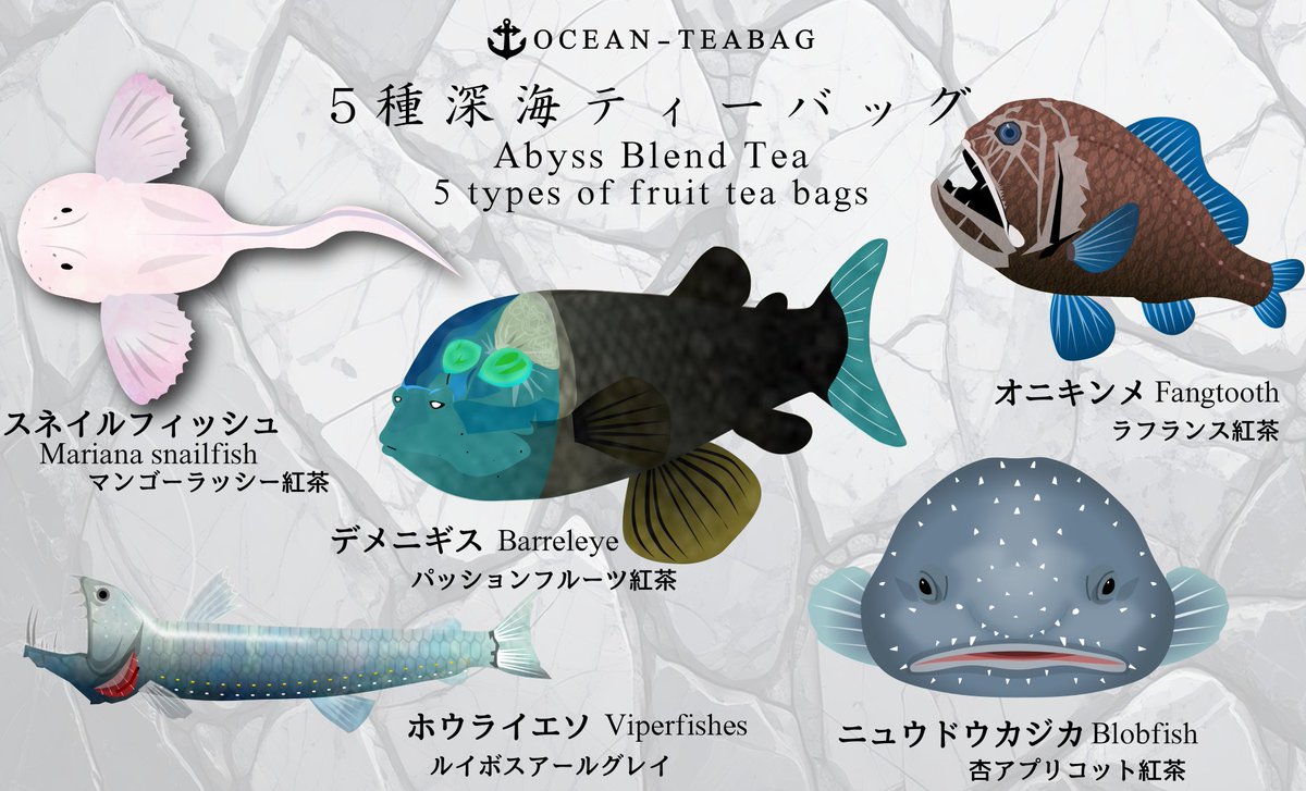 ニュウドウカジカ（ブロブフィッシュ）は水揚げされた後のピンク色の姿