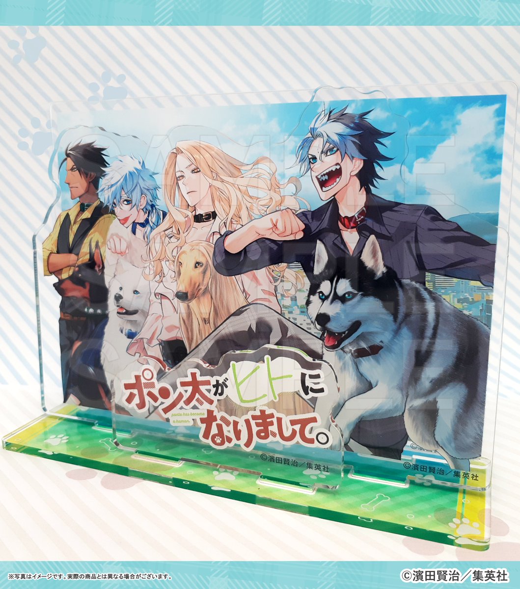 medicos_et_02's tweet image. 【一般販売🛒予約受付中】
『ポン太がヒトになりまして。』商品情報🐶
🐾アクリルジオラマ
爽やかで美しいイラストが立体的なジオラマになりました!
🔻MEDICOS ONLINE SHOPでも受注🙆
📅~8/19(火)
medicos-e-shop.net/products/list?…
※特典は付属いたしません
#ポン太がヒトになりまして