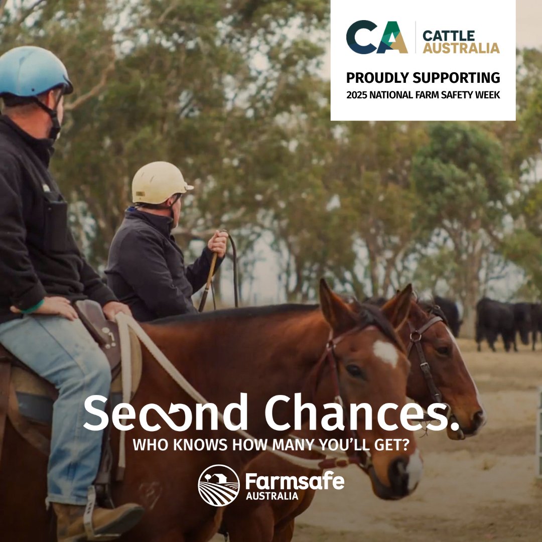 CattleAus's tweet image. ⚠️It’s Farm Safety Week – the perfect time to reflect and learn from those near misses on the farm. The 2025 Safer Farms Report reflects a heartbreaking year for farming families, with lives lost and communities deeply affected. Find out more at farmsafe.org.au