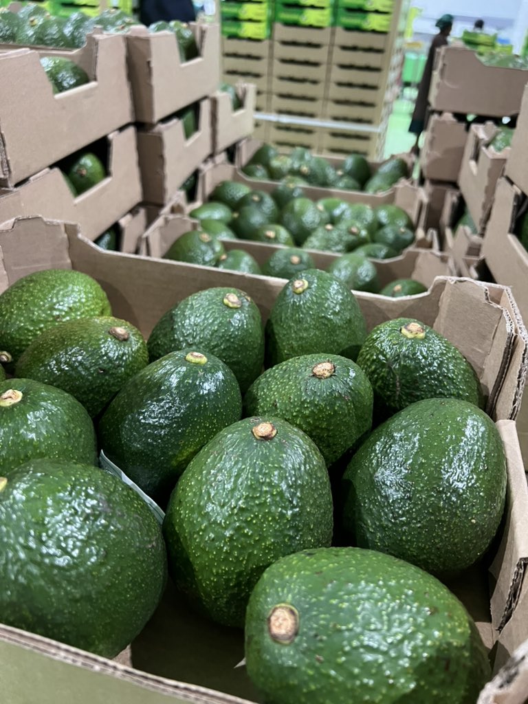 officialDrHerry's tweet photo. We left Home to change Home... May we not return in coffin before we make it 🌱🥑🥑🇹🇿🇹🇿 https://t.co/v6DlMWF8c3