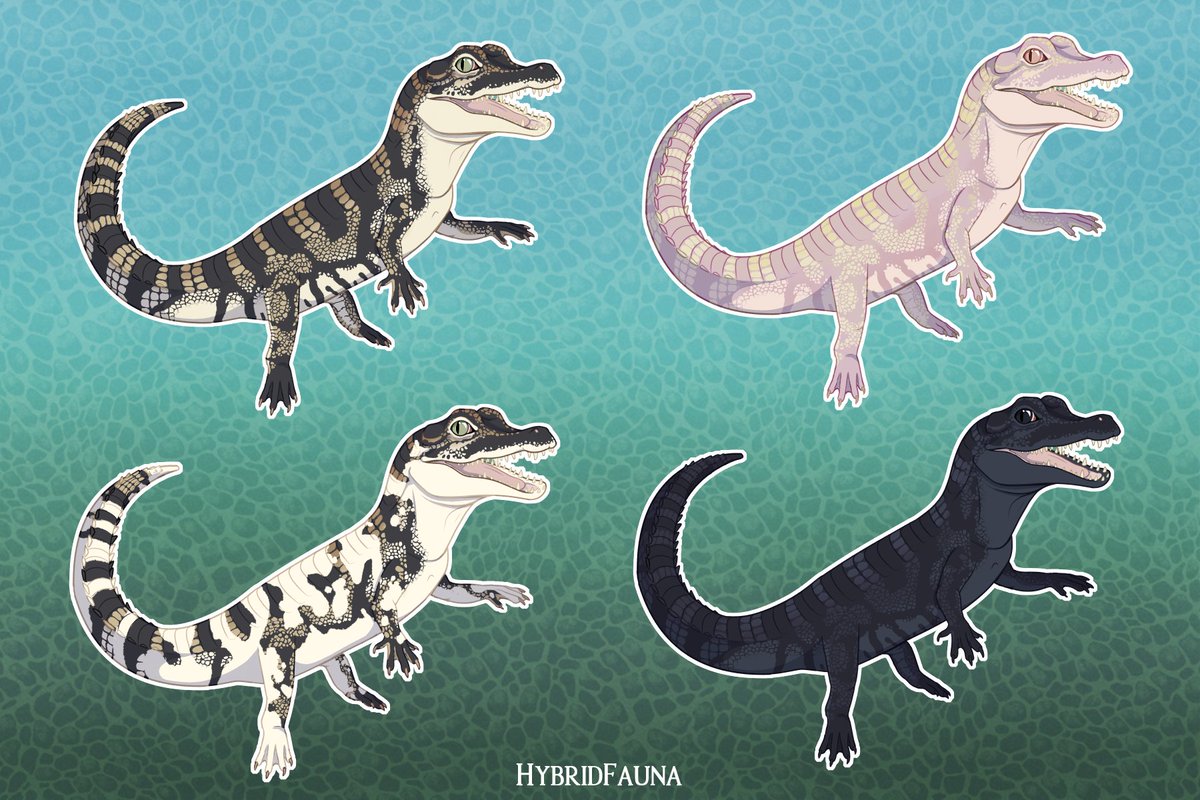 HybridFauna tweet media